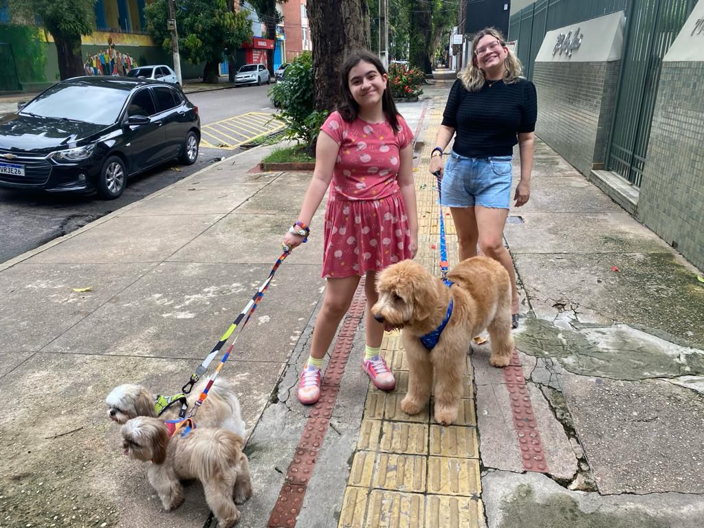 Golden Doodle Brasil Jimmy